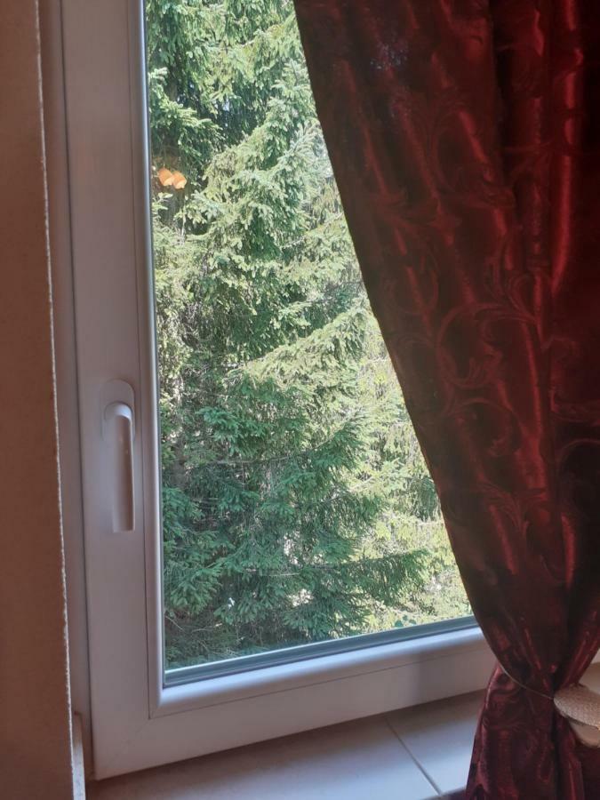 Small Montenegro Žabljak Εξωτερικό φωτογραφία